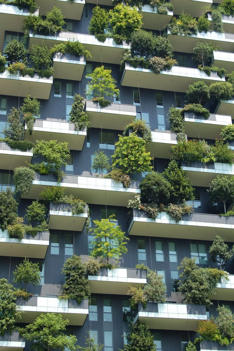 Noticia: Inversiones Aseguradas con Due Diligence Ambiental - Green Globe