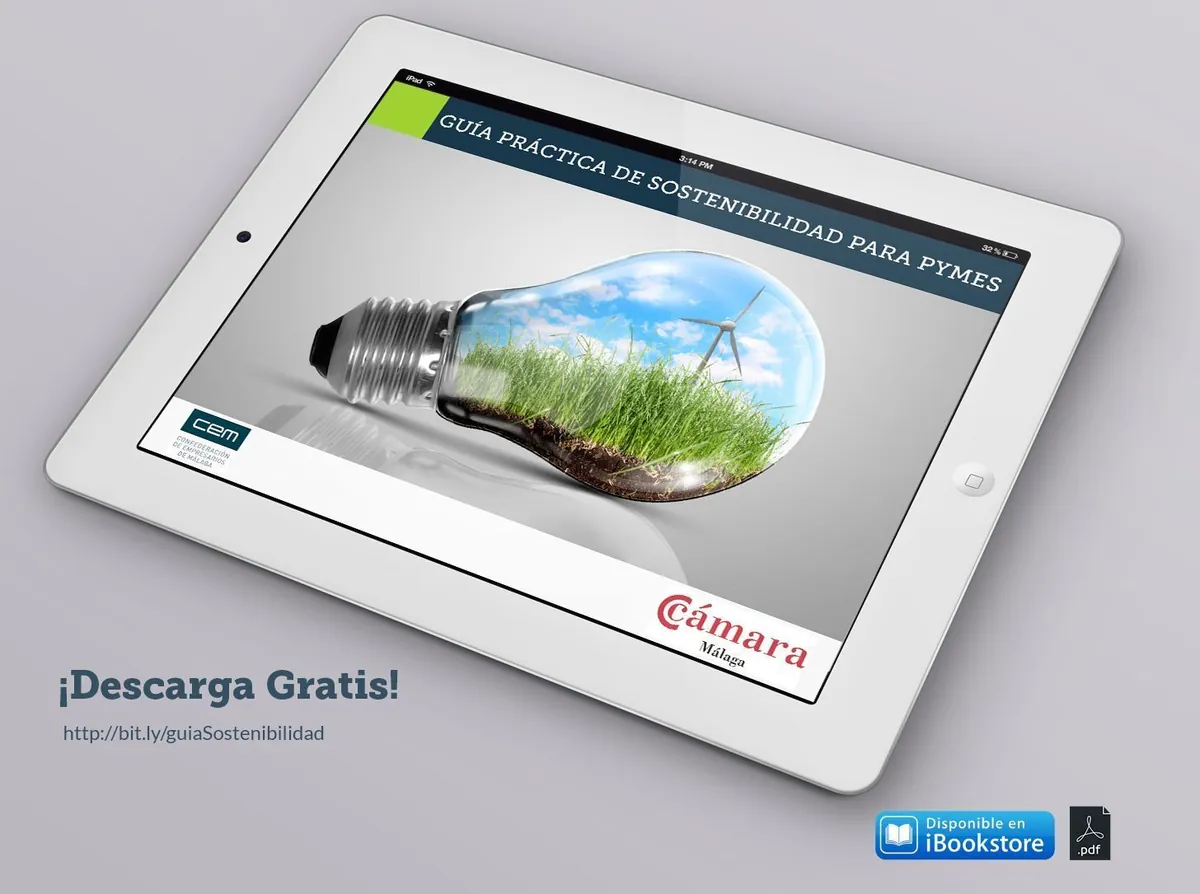 Noticia: PYMES y Sostenibilidad, una Guía para la práctica empresarial - Green Globe