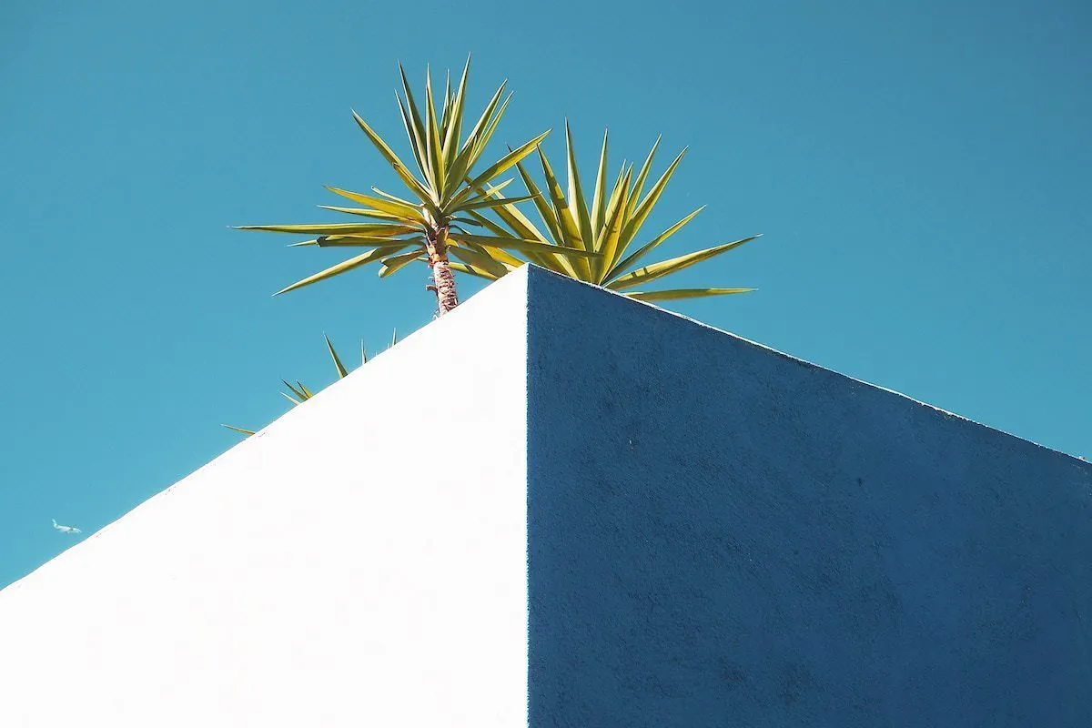 Noticia: Techos verdes y jardines verticales, acercando la naturaleza a la ciudad. - Green Globe