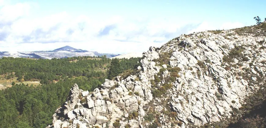 Proyecto ambiental: Análisis de la Gestión de los Recursos Naturales del P.N. Sierra de las Nieves - Green Globe