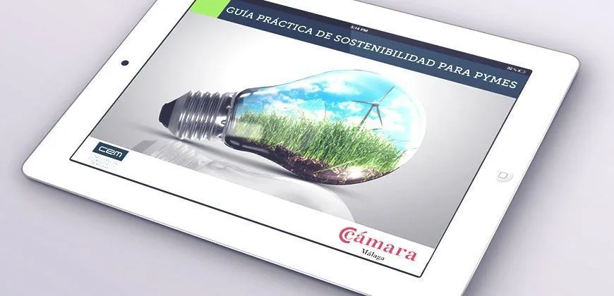 Guía Práctica de Sostenibilidad para Pymes