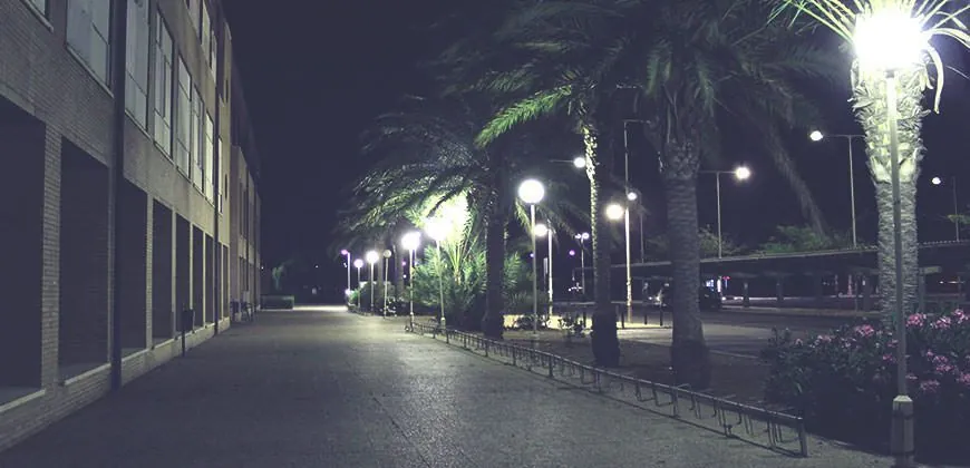 Proyecto ambiental: Inventariado y Caracterización de los Campus universitarios de Andalucía - Green Globe