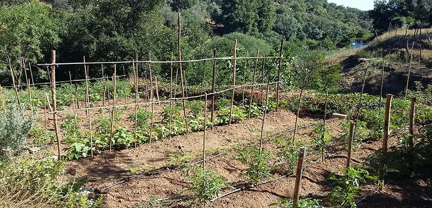 Proyecto ambiental: Revalorización de las Huertas Agrícolas Tradicionales del P.N. Sierra de Aracena - Green Globe